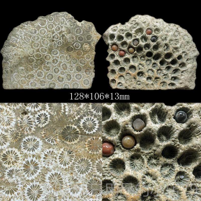 高档印尼原矿天珊瑚玉原石矿料摆件菊花玉石手把件饰品装片料然晶