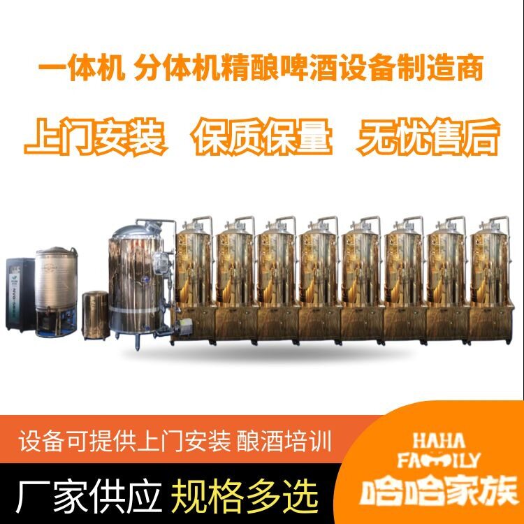 自制啤酒加工设备 精酿家用啤酒机械 啤酒精酿酿造机器