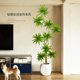 百合竹仿真植物客厅电视柜落地盆栽仿生绿植室内大型假树装 饰摆件