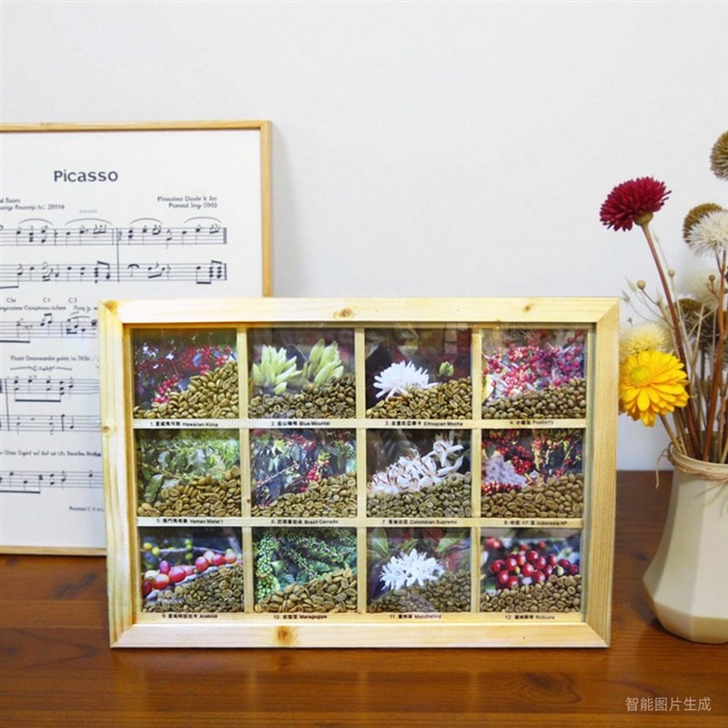 咖啡豆12大产区生咖啡豆标本画 咖啡教学配套教材 咖啡厅装饰画