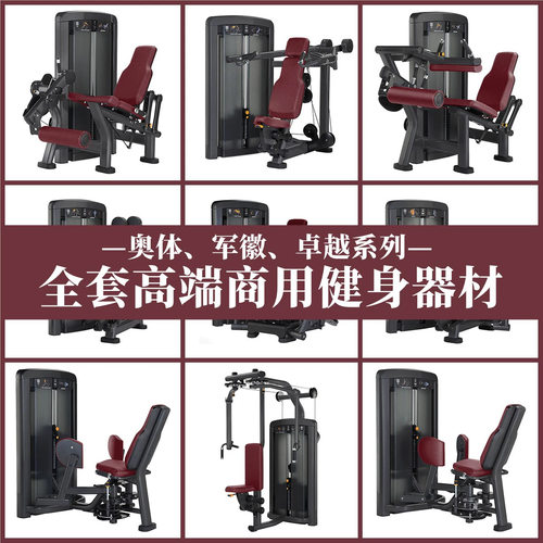 lifefitnes军徽力量健身房器械全套器材健身房专用拉背胸练腿肩