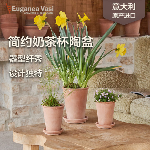 ev陶盆进口简约奶茶杯透气加深高陶土euganeavasi绿植花盆
