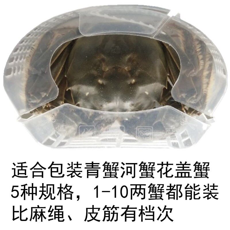 大闸蟹速装器螃蟹速装器河蟹速装器螃蟹礼盒螃蟹包装盒河蟹包装盒