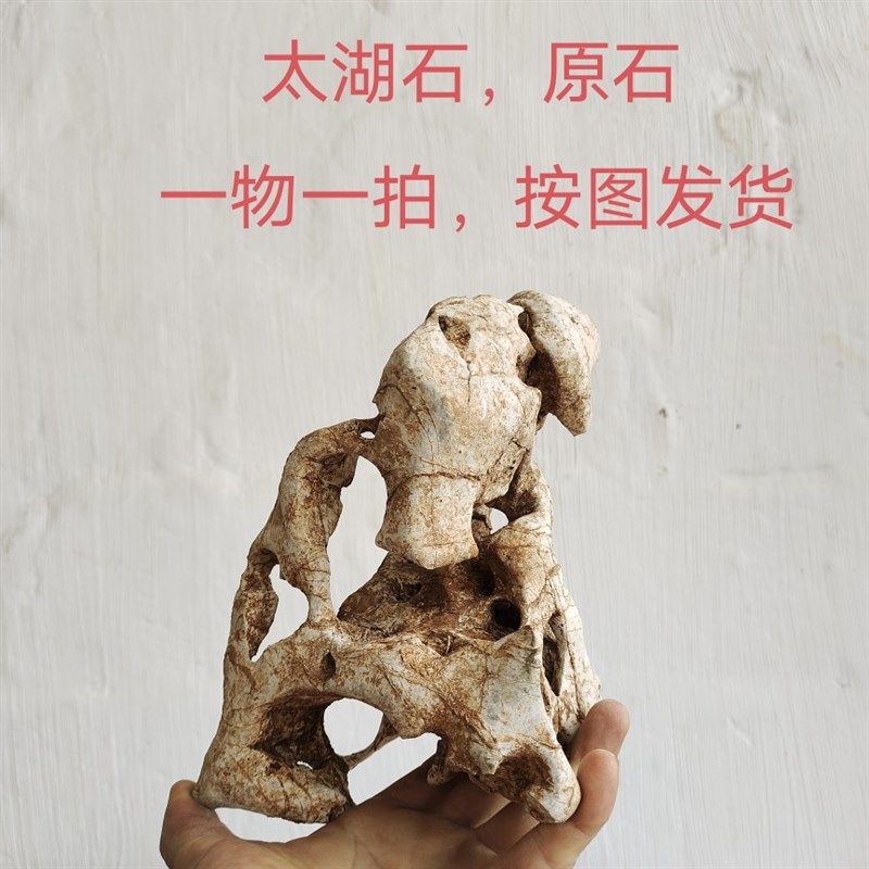 广西太湖石观赏灵壁石英石墨石玲珑石盆景附精品奇石天然原石A03