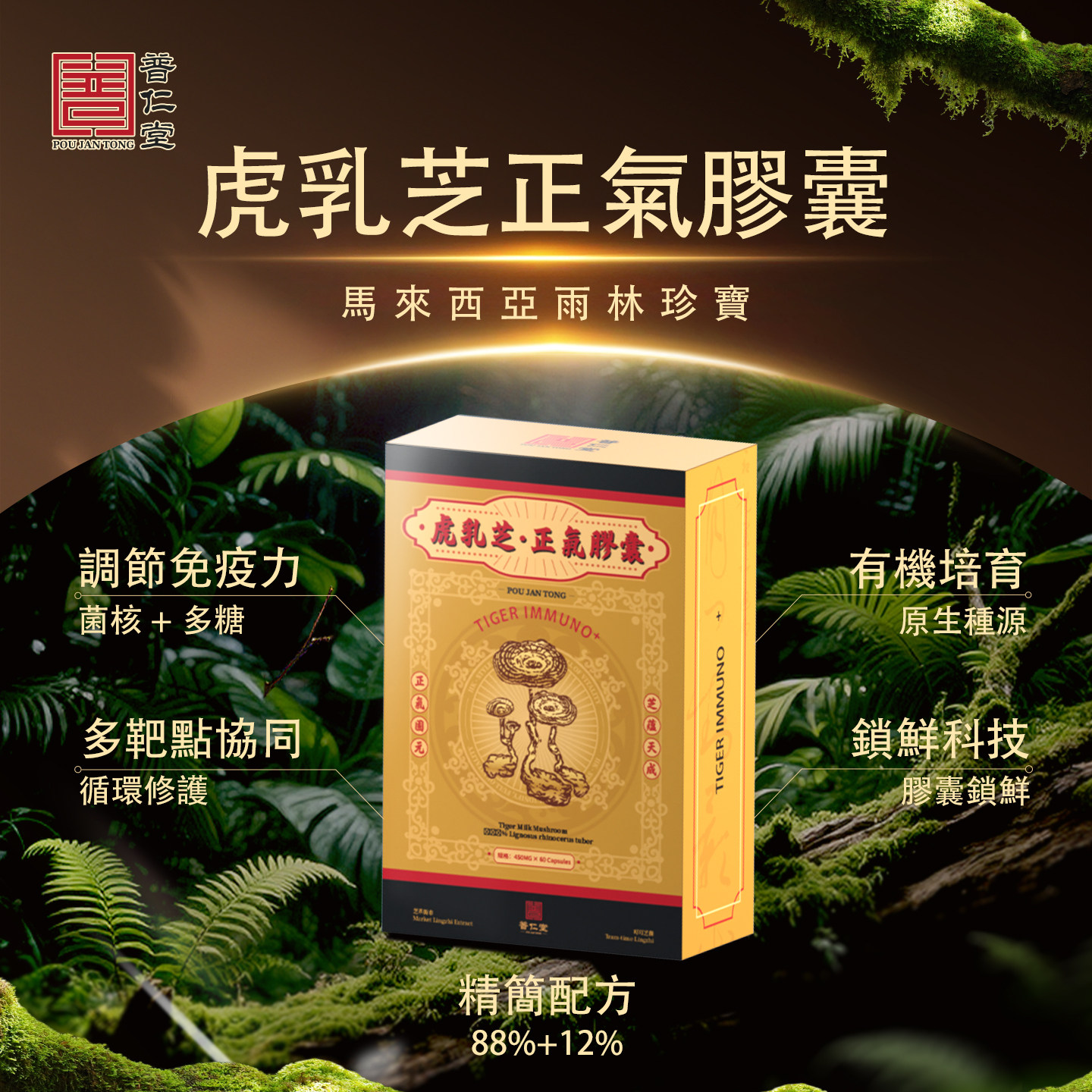 香港直发香江制药普仁堂虎乳灵芝正气胶囊蛹虫草调节免疫力呼吸