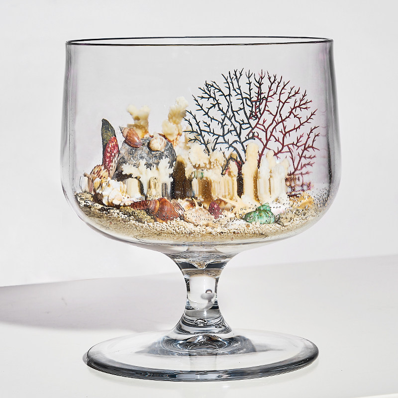 鱼缸客厅小型乌龟缸办公室迷你塑料透明桌面家用造景鱼缸创意龟盆,宠物/宠物食品及用品,桌面缸,淘宝优惠券,粉丝福利购,淘宝优惠卷