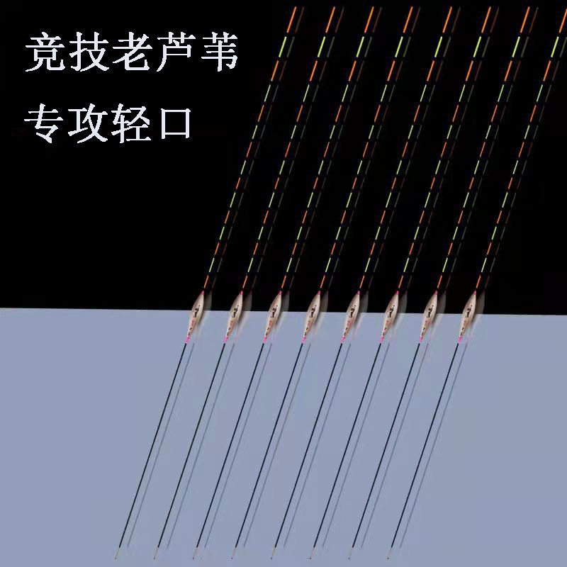 芦苇浮漂高灵敏轻口鲫鱼漂加粗醒目尾黑坑竞技行程枣核浮标芦苇漂