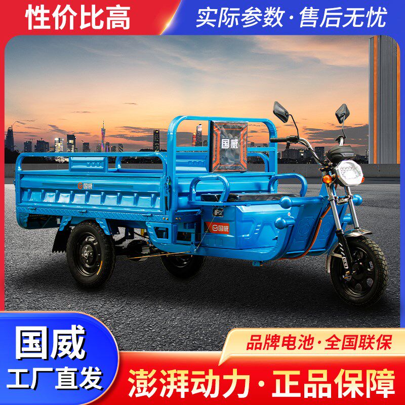 国威电动三轮车家用小型拉货摆摊快递家用农用载重接送孩子老年人