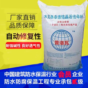 成都水泥基渗透结晶防水母料地铁地下室水池鱼塘隧道大坝防水涂料