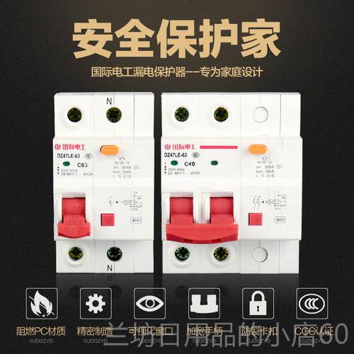 高档国际电工小型断路器DZ4保7家用电闸/263A总空气开关1带漏电护
