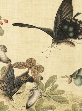 顾琦玉耋算京垓册工笔蝴蝶草虫临摹范本中式装饰画艺术绢布画心