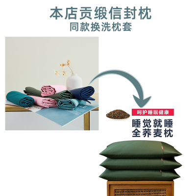 100支长绒棉贡缎枕套枕头套一对装家用单个信封枕30x50cm40x70cm