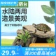 爬虫乌龟晒台小龟爬台龟缸造景晒龟台晒背台休息高水位带躲避装 饰