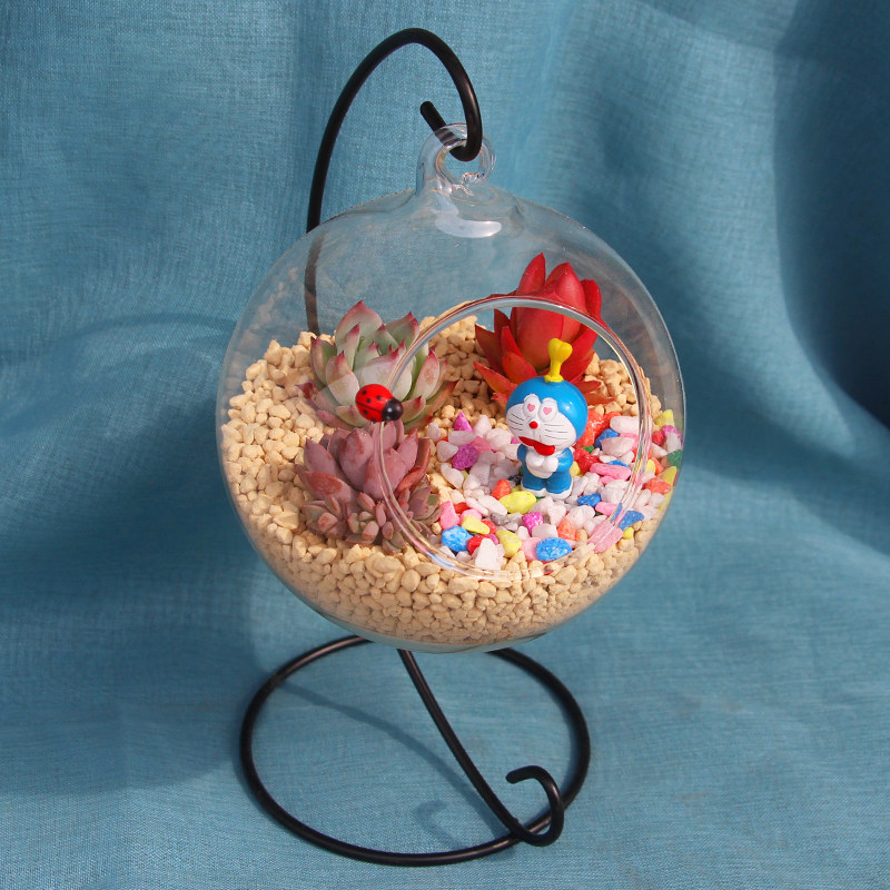 多肉植物创意微景观DIY材料包绿植花卉组合盆栽套餐肉肉拼盘套装