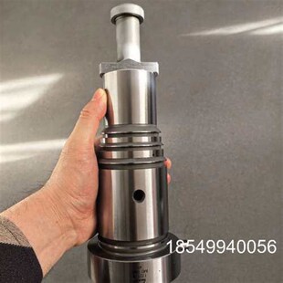 1541 议价MAN IMO 38柱塞偶件 L27