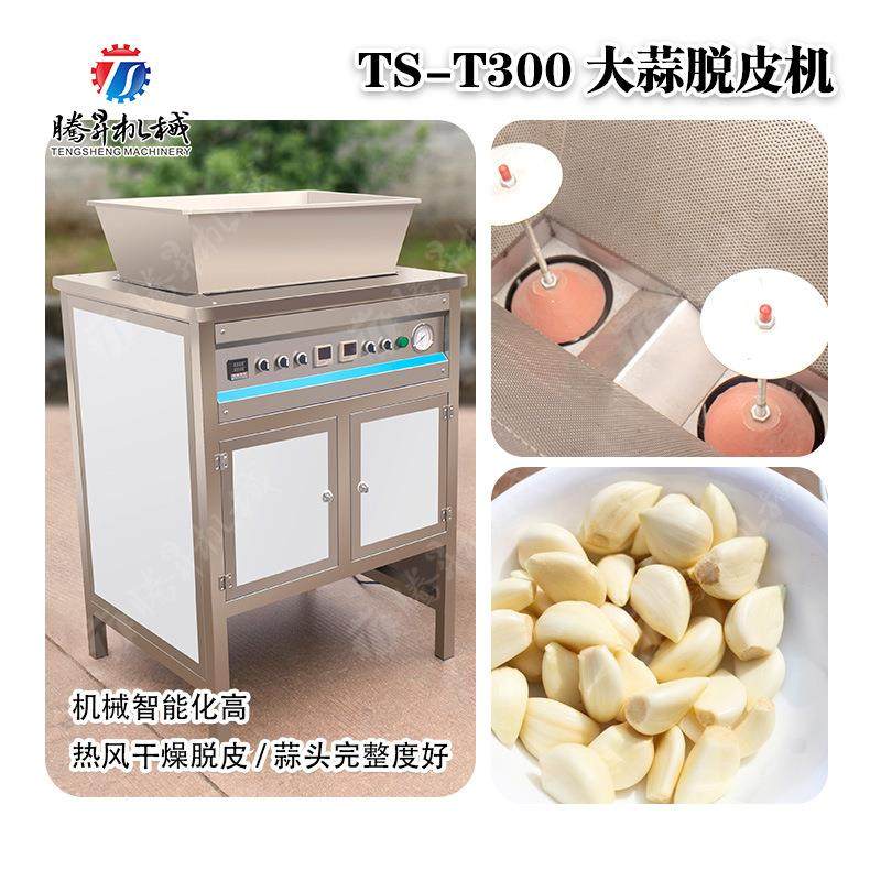 大蒜脱皮机 大蒜分瓣机 脱蒜皮机 拨蒜 蒜头脱皮机 腾昇机械,鲜花速递/花卉仿真/绿植园艺,割草机/草坪机,淘宝优惠券,粉丝福利购,淘宝优惠卷