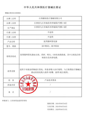 升级版~ice冰爆果味雾化器口腔清新大雾量充电便携电子口喷吸入器