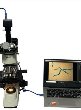 河北玖钊LHTF-553G型纤维图像分析仪厂家直营