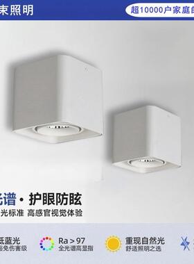 明装led射灯白色方形筒灯可调角度单双头家用卧室防眩智能斗胆灯