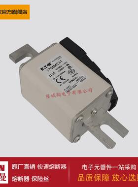 熔断器170M4241 170M4242 170M4243 170M4244 170M4245 170M4246