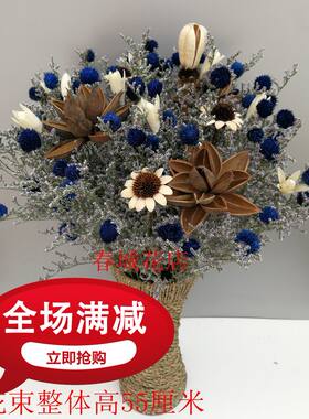 新款云南干花小雏菊盆花客厅卧室餐桌茶几装饰摆放大束单枝花束
