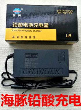 小海豚冰岚专用充电器智能充电器
