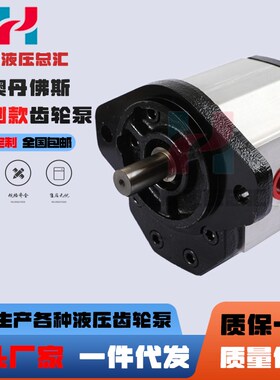 萨澳SAUER丹佛斯DANFOSS齿轮泵SNB3NN/022/026/033/038/044/048LN