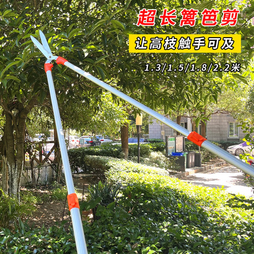 园艺大剪刀树枝修剪草绿篱剪坪剪修枝剪花木树枝剪伸缩粗枝园林剪