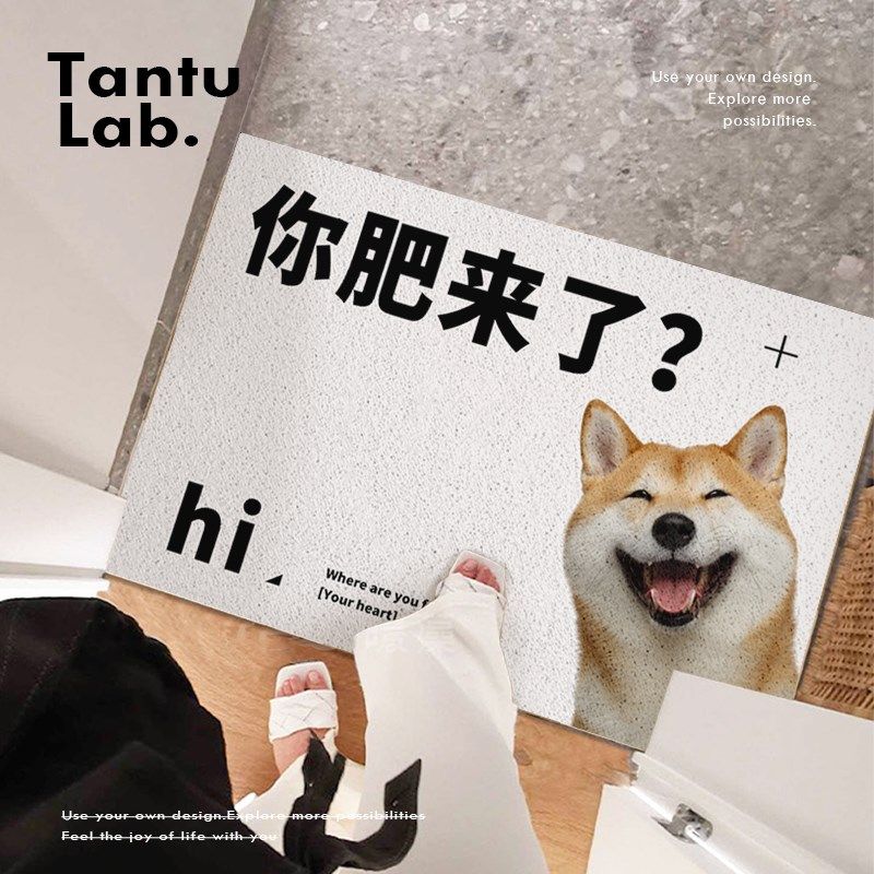 活着回来就行地毯进门入户丝圈除尘社畜地垫搞笑小动物TANTU研究