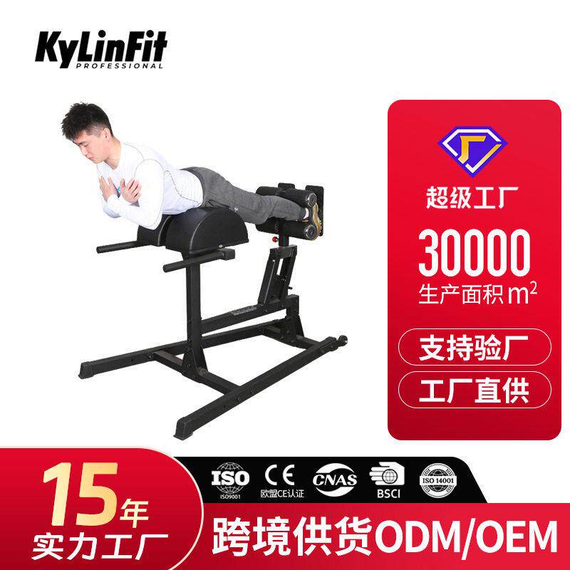 健身房多功能商用罗马椅 综合健身凳器材GHD山羊背训练器
