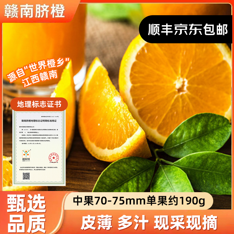 【宋潮不夜城】正宗赣南脐新鲜水果现摘整箱10斤应季产地直发甜橙