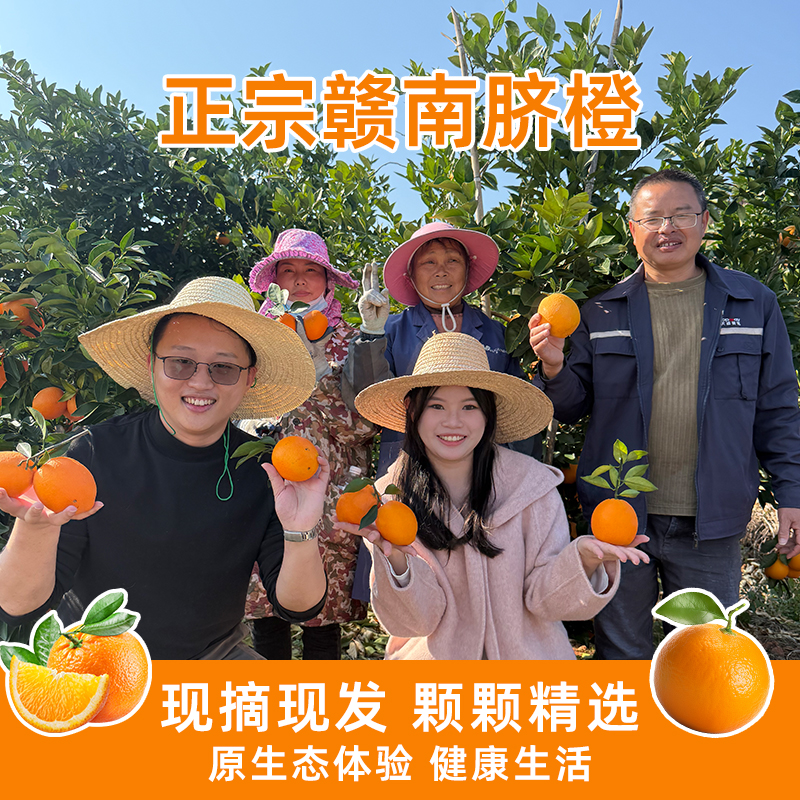 宋潮不夜城【彩箱发货】当季脐橙甜橙江西赣南大果现摘现发包邮