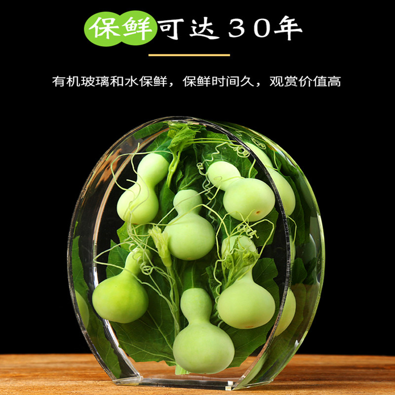 天然绿色小葫芦摆件保鲜水葫芦家居博古架摆件亚力克创意工艺礼品