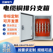 电缆分支箱铜排箱T接转换配电箱铜排矿物端子箱绝缘分流箱保护箱