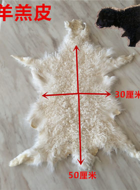 整张羊皮毛沙发垫纯羊毛毯子地毯皮毛一体坐垫床边褥子飘窗羊毛垫