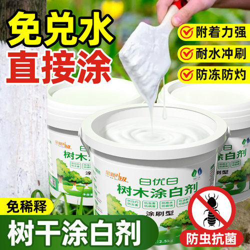 树木涂白剂果树树干盆景防虫防冻园林杀菌抗病防霜冬季天树杆刷树