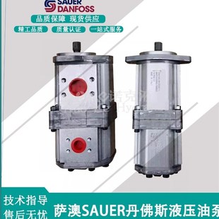 022RN11 SNQ3NN Danfoss丹佛斯双联齿轮泵SNW3NN 063RN07SLNNA5A4