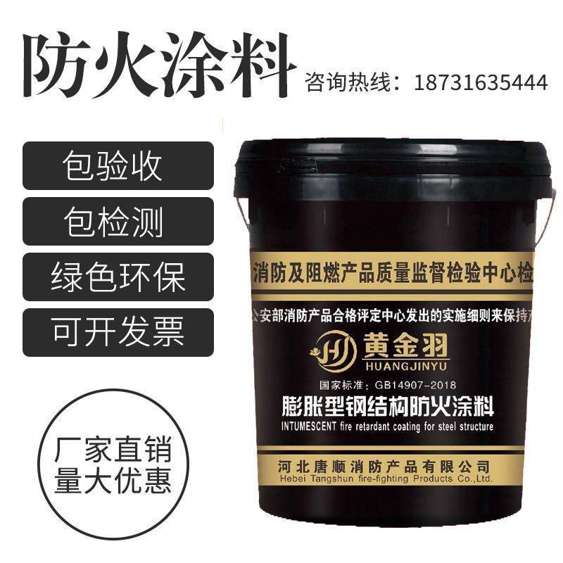 室内外钢结构超薄型防火涂料 膨胀白色防火漆 厚型耐高温水性油性,基础建材,特种涂料,淘宝优惠券,粉丝福利购,淘宝优惠卷