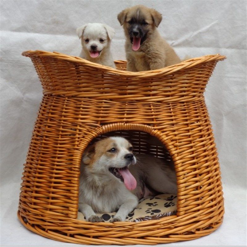 四季通用柳藤编宠物窝冬季猫窝屋房猫笼泰迪狗窝狗屋狗别墅可拆洗,宠物/宠物食品及用品,狗窝/屋/帐篷/沙发,淘宝优惠券,粉丝福利购,淘宝优惠卷