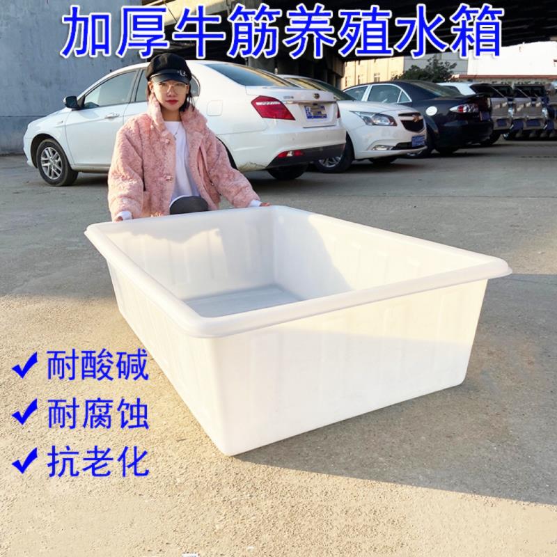 塑料水箱长方形加厚牛筋大号储水桶卖鱼浅盆养鱼周转箱水产养殖箱