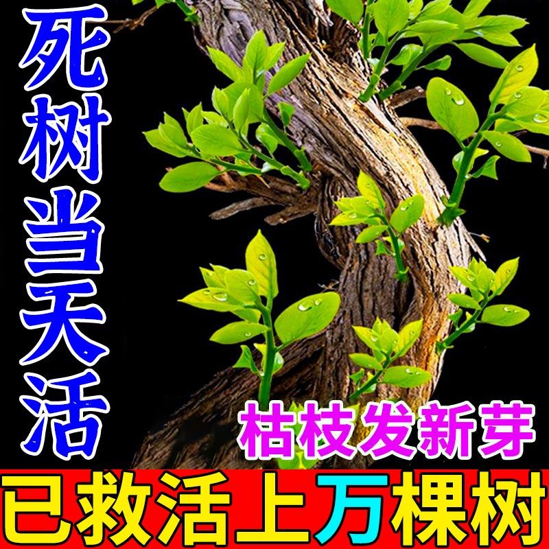 植物复活液大树强力生根药水壮苗粉剂树木移栽营养液花卉绿植通用
