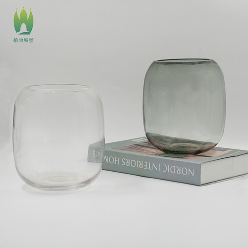 微景观玻璃瓶生态瓶鱼缸花瓶玻璃透明水养插花雨林水陆苔藓缸