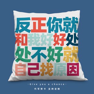 你就和我好好处趣味抱枕定制范德彪彪学语录车载枕头办公室靠背垫