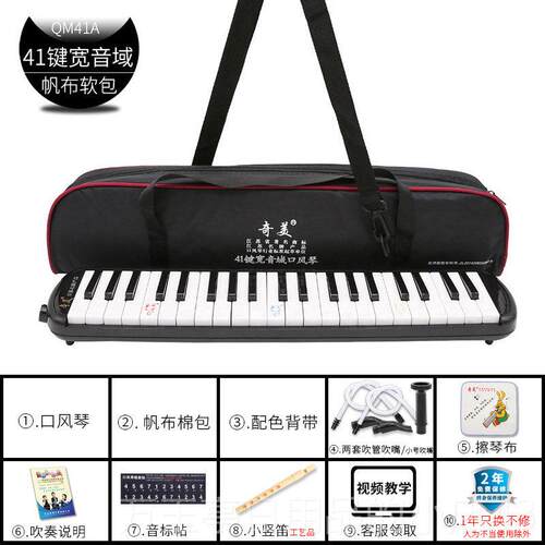 高档奇童美口风琴4键宽音域学生用课堂教学儿1人初学成专业演奏口