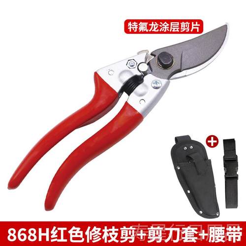 正品绿化家用修枝剪修粗花木园林工园艺剪刀果树剪子枝剪具剪花树