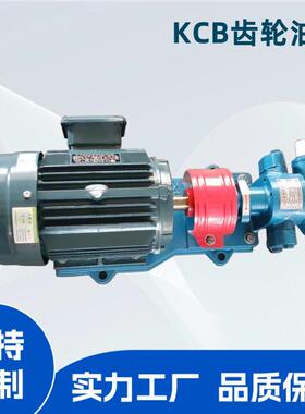 YHS海口径金1寸k油cb型齿轮泵卧铸铁汽泵不锈钢电动式小型齿轮泵