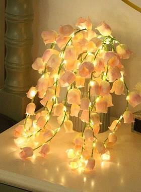 灯NQA创意LED婚兰花灯串房间花装饰灯小夜求情人节氛围铃小彩灯