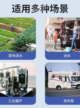 BGQ电动型柴泵电动抽小油泵加油泵油自动启停12V24每V200W20升分