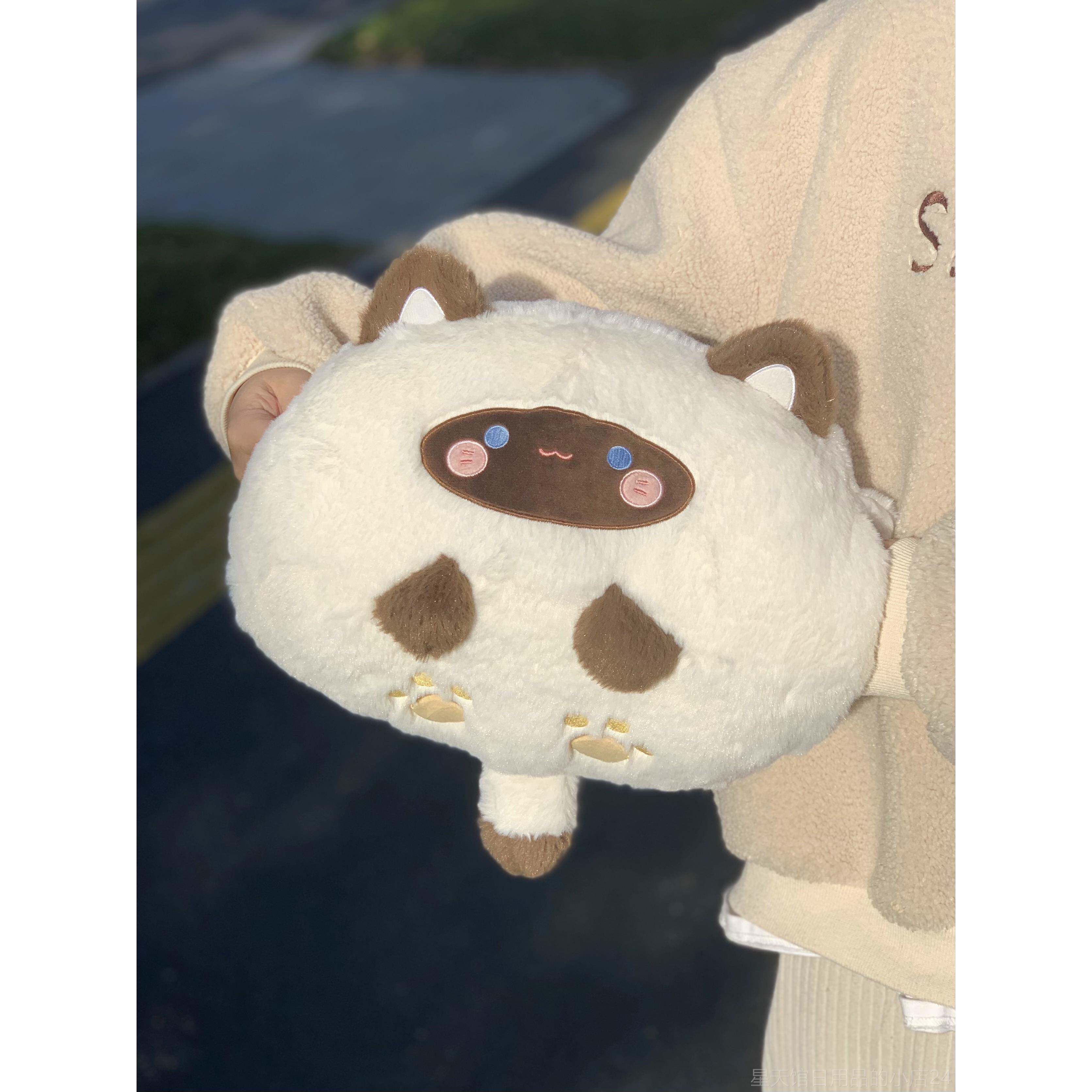 正品开咚咚团研究所团喵 可爱猫咪冬天暖手抱枕插侧口枕手 送女生