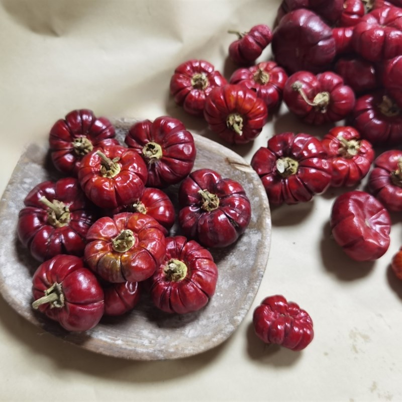 巴西真果干花迷你小南瓜万圣节南瓜摆件摆设花艺花材拍摄道具